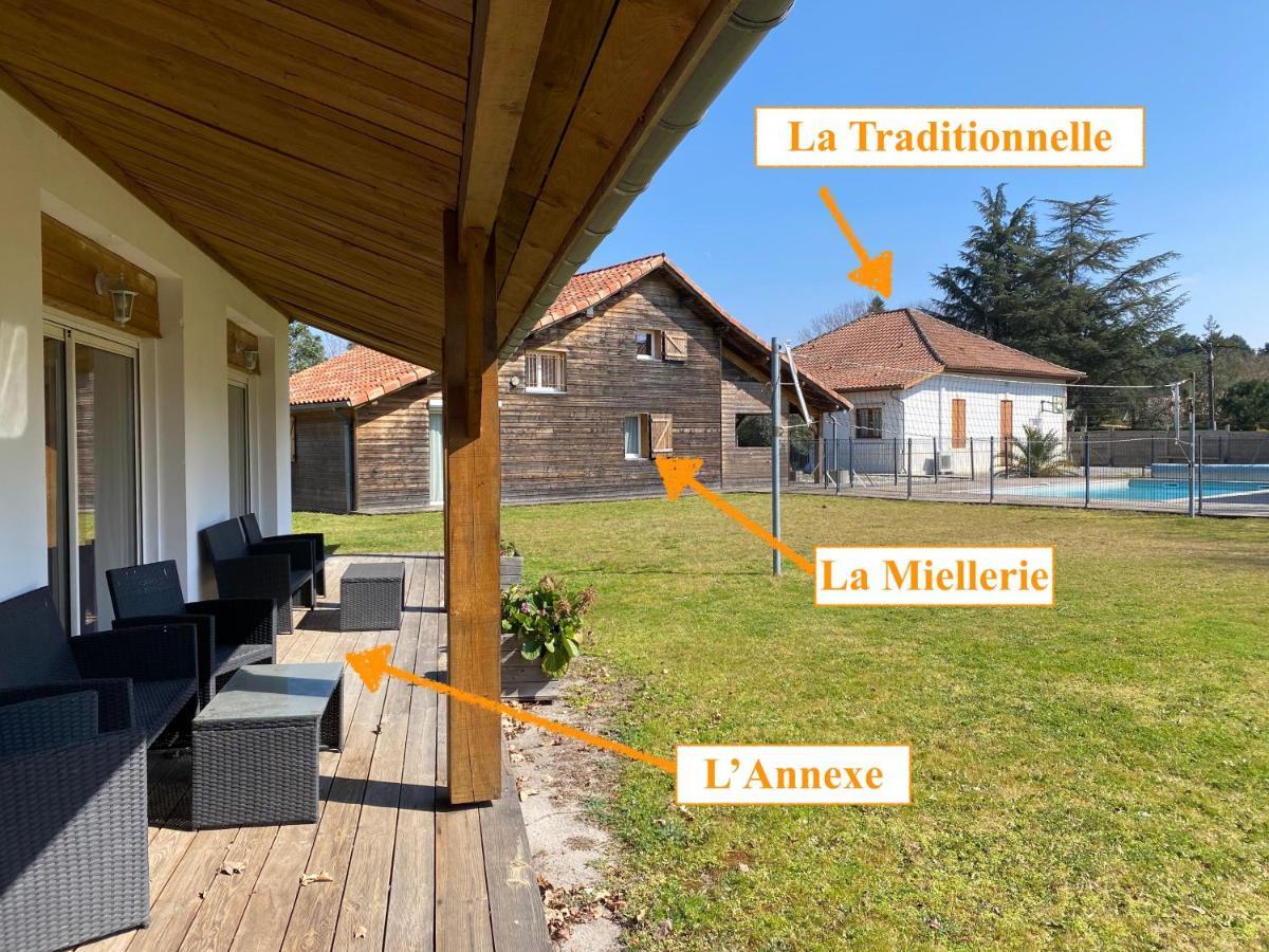Ensemble De 3 Villas Avec Piscine Chauffee, Esprit Detente Sanguinet Exteriér fotografie